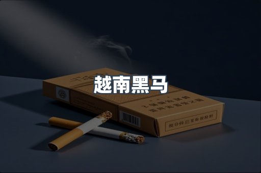 越南黑马